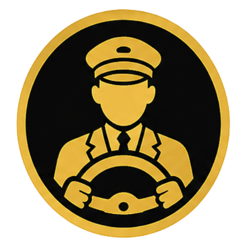 Driver Profesional